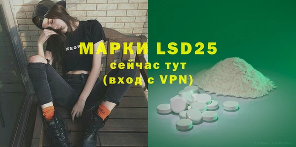 МДПВ Инсар