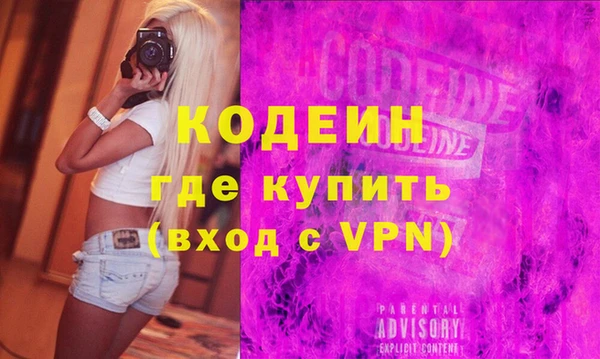 МДПВ Инсар