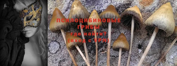 МДПВ Инсар