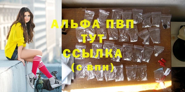 МДПВ Инсар