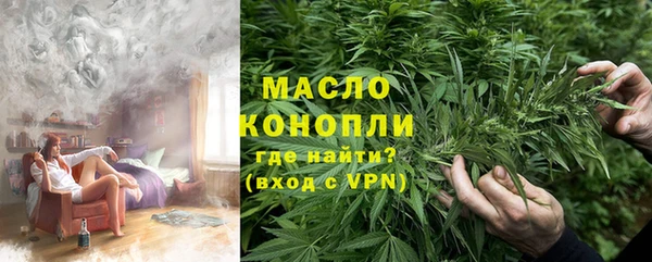 мет Инта