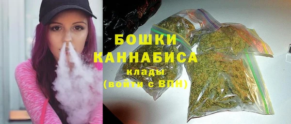 мет Инта